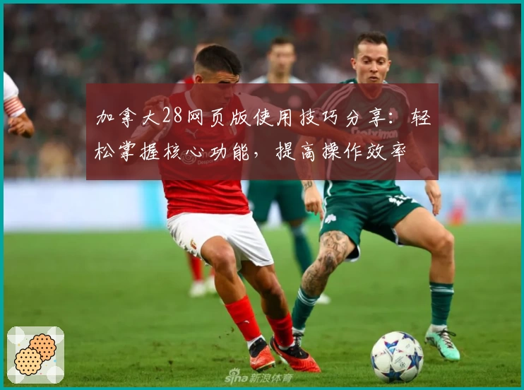 加拿大28网页版使用技巧分享：轻松掌握核心功能，提高操作效率