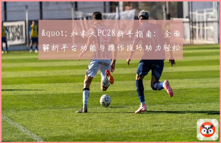 "加拿大PC28新手指南:全面解析平台功能与操作技巧助力轻松上手"