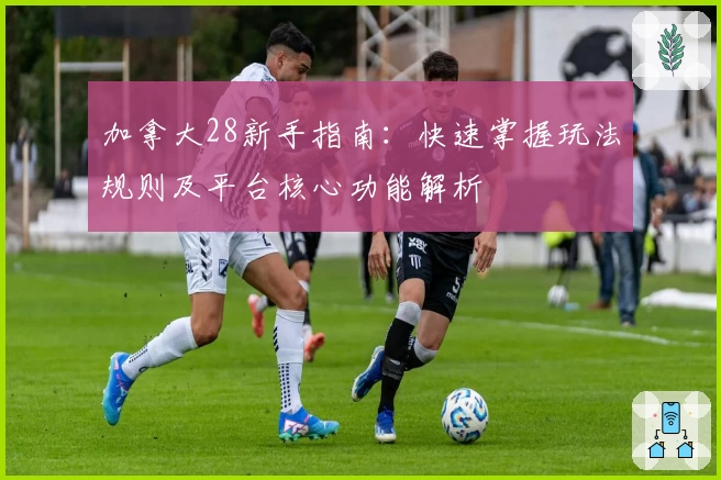 加拿大28新手指南：快速掌握玩法规则及平台核心功能解析