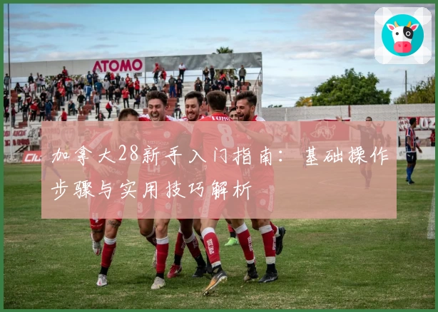 加拿大28新手入门指南：基础操作步骤与实用技巧解析