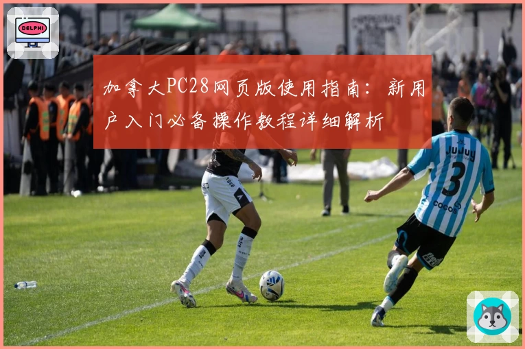 加拿大PC28网页版使用指南：新用户入门必备操作教程详细解析