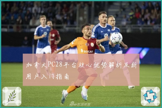 加拿大PC28平台核心优势解析及新用户入门指南