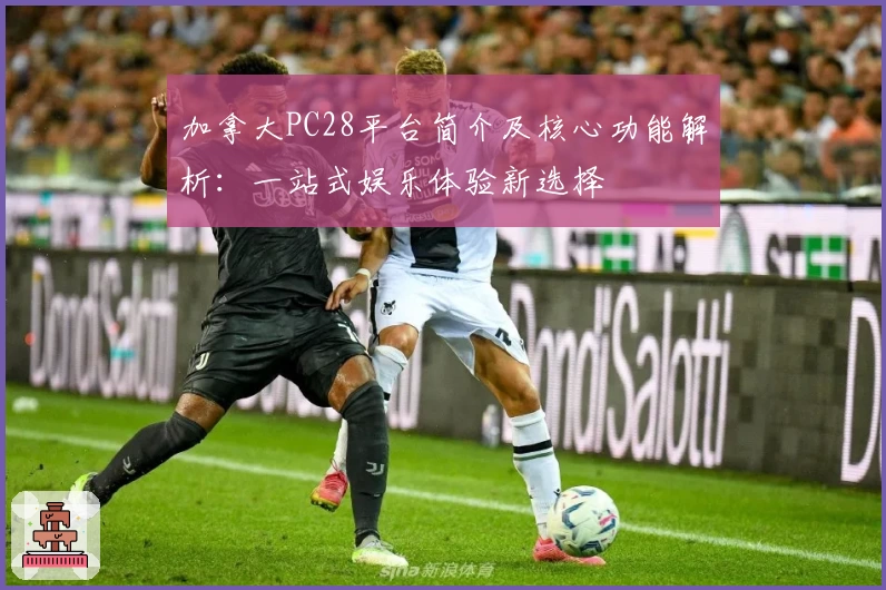 加拿大PC28平台简介及核心功能解析：一站式娱乐体验新选择