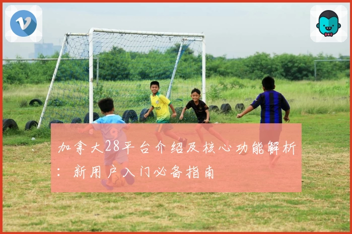 加拿大28平台介绍及核心功能解析：新用户入门必备指南