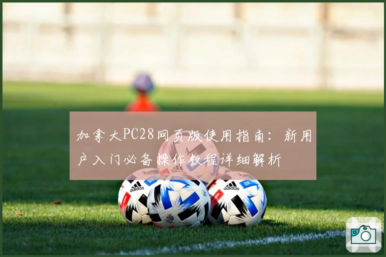 加拿大PC28网页版使用指南:新用户入门必备操作教程详细解析