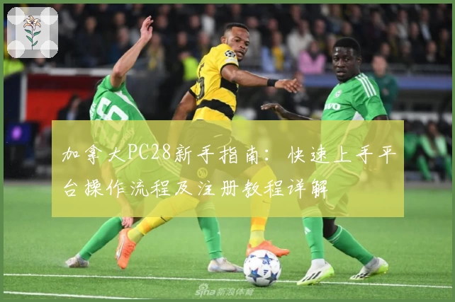 加拿大PC28新手指南：快速上手平台操作流程及注册教程详解