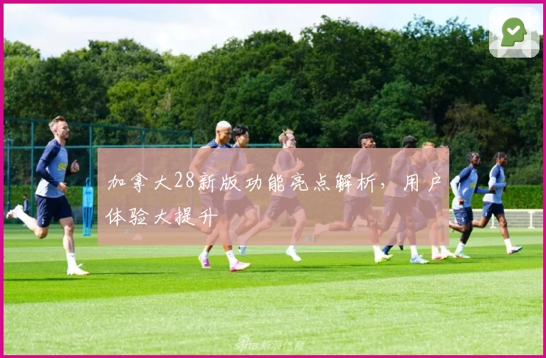 加拿大28新版功能亮点解析，用户体验大提升